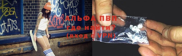 гашик Аркадак
