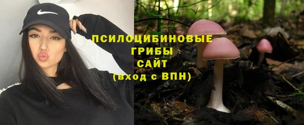 гашик Аркадак