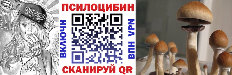 MEGA ССЫЛКА  Приморск  Галлюциногенные грибы GOLDEN TEACHER 